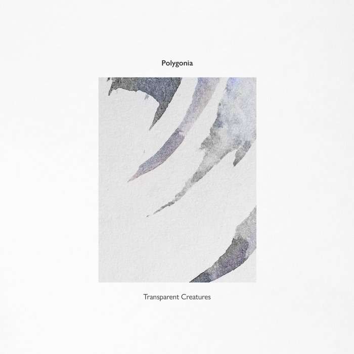 Polygonia — Transparent creatures